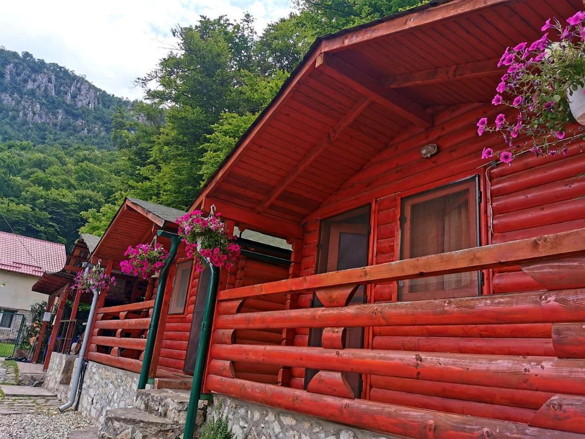 Villa Casa Beasarah. à Dubova Extérieur photo